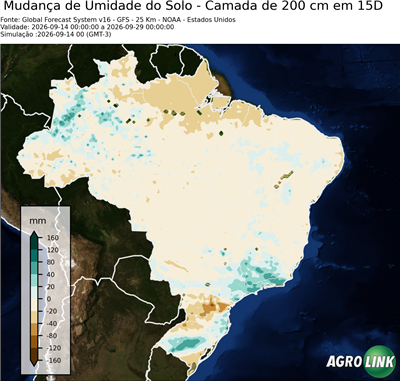 15 dias