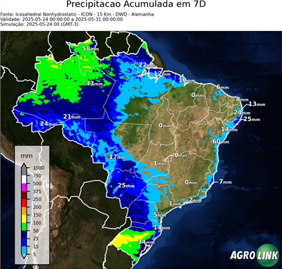 7 dias