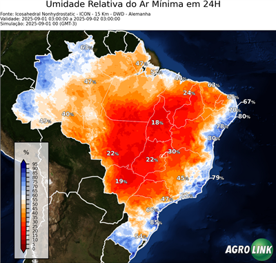 24 horas