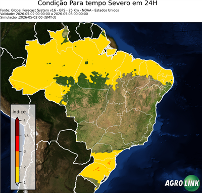 24 horas
