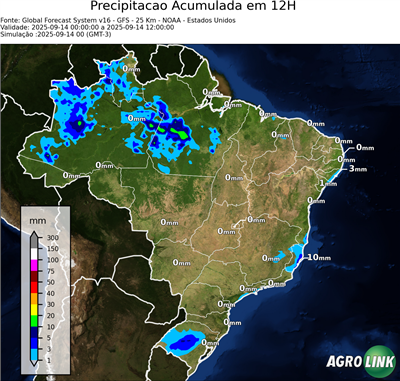 12 horas