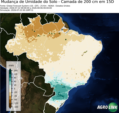 15 dias