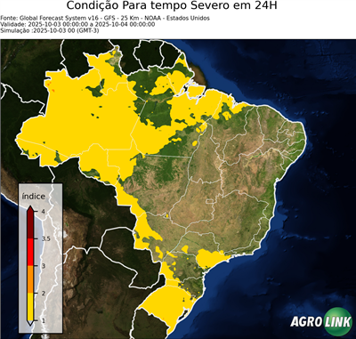 24 horas