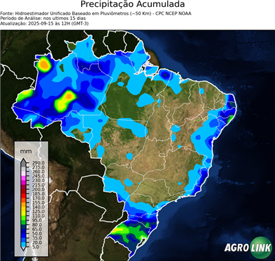 15 dias
