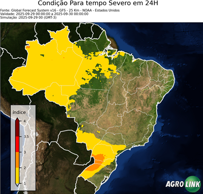 24 horas