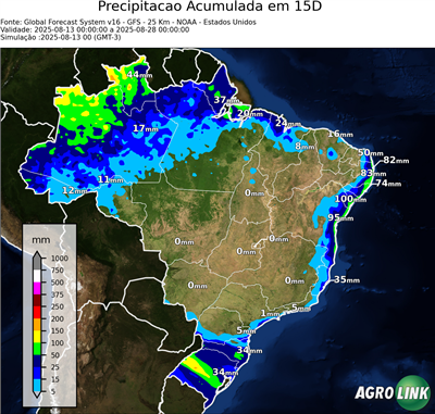 15 dias