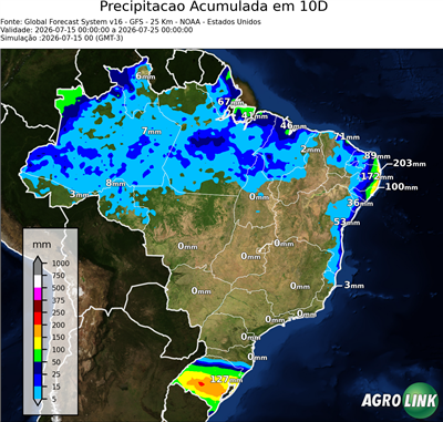 10 dias