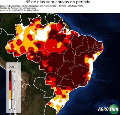 5 dias