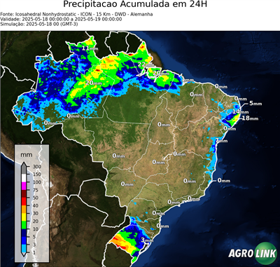 24 horas