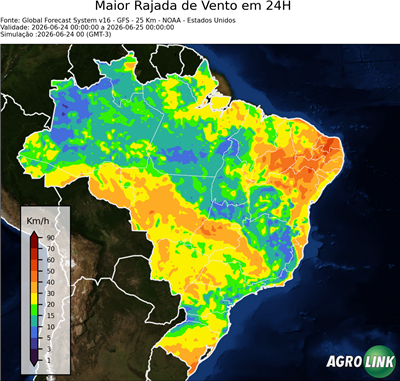 24 horas