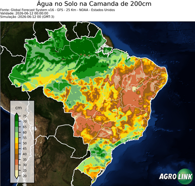 24 horas