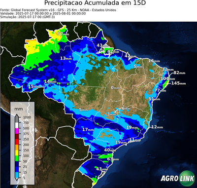 15 dias