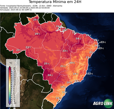24 horas