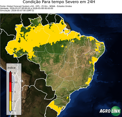 24 horas