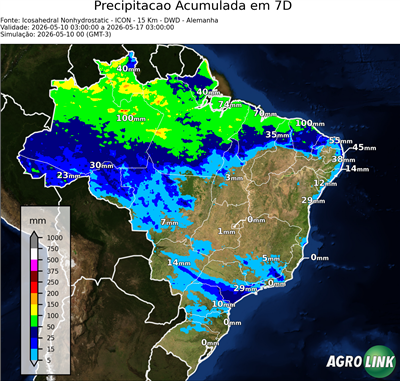 7 dias