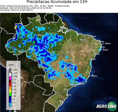 12 horas