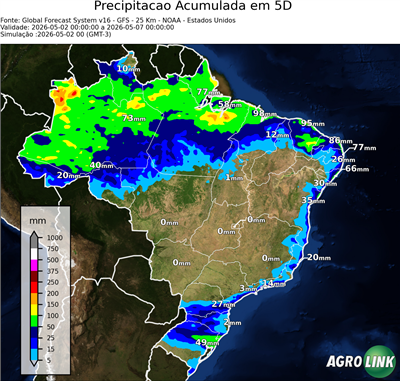 5 dias