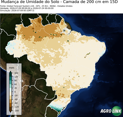 15 dias