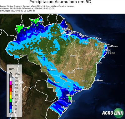 5 dias