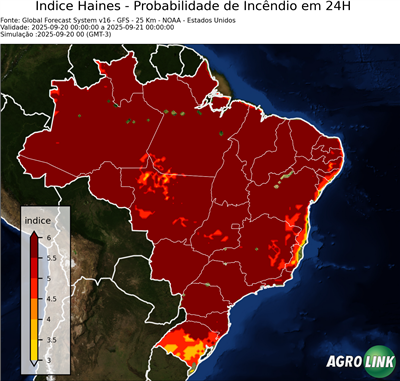 24 horas