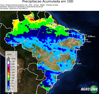 10 dias