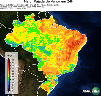 24 horas