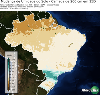 15 dias