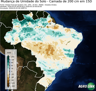 15 dias