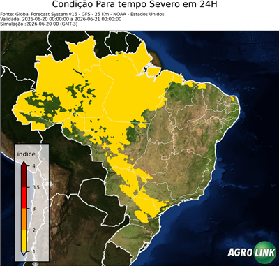 24 horas