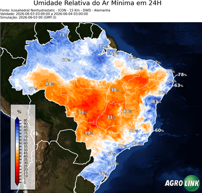 24 horas