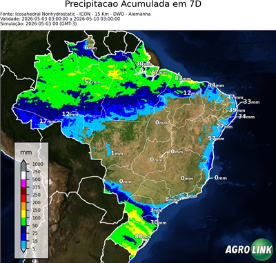 7 dias
