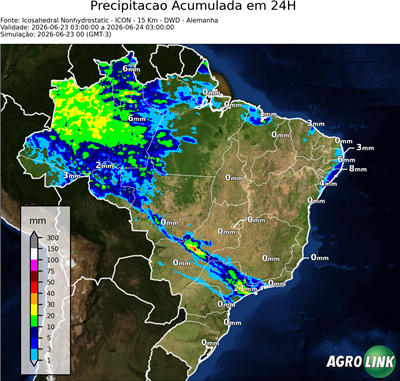 24 horas