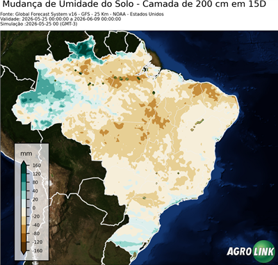 15 dias