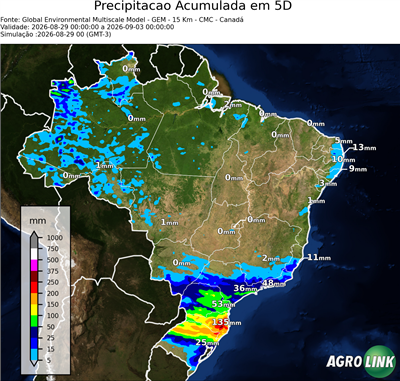 5 dias