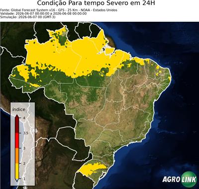 24 horas