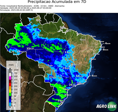 7 dias