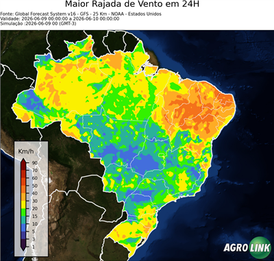 24 horas