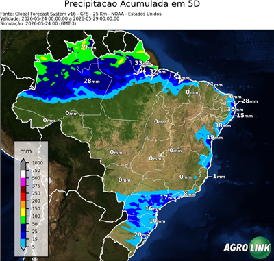 5 dias