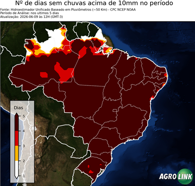 5 dias