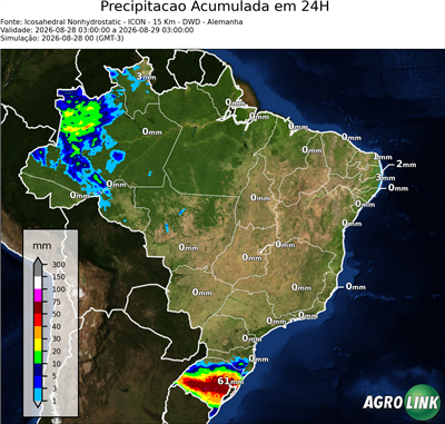 24 horas