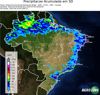 5 dias