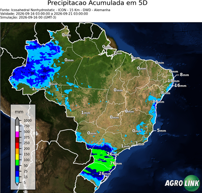 5 dias