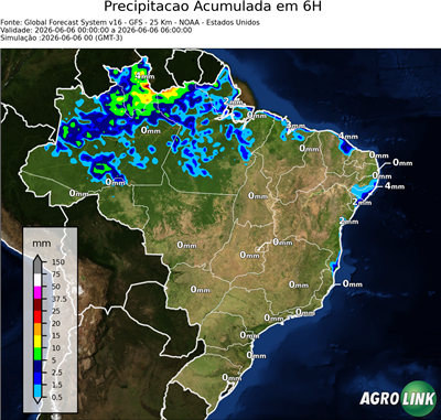 6 horas