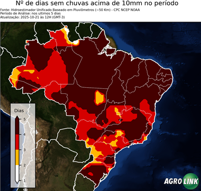 5 dias