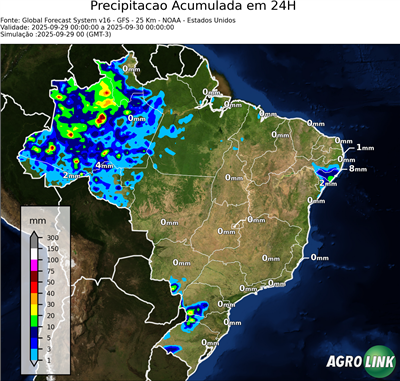 24 horas