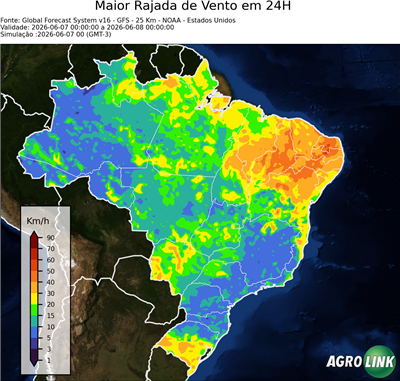 24 horas