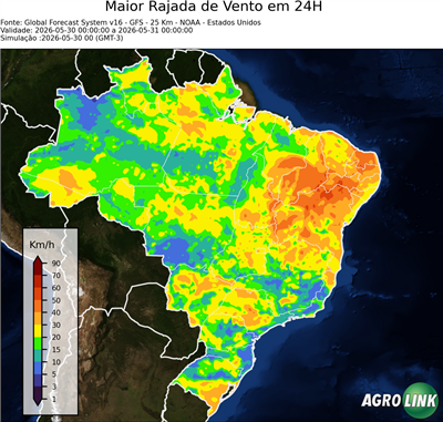 24 horas