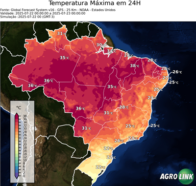 24 horas