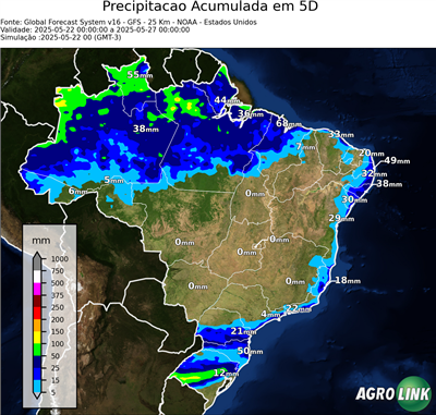 5 dias