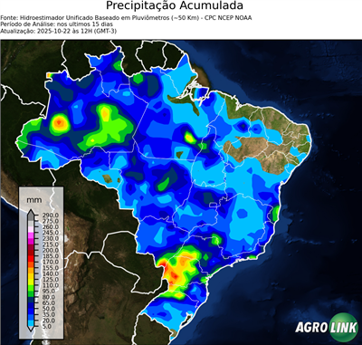15 dias